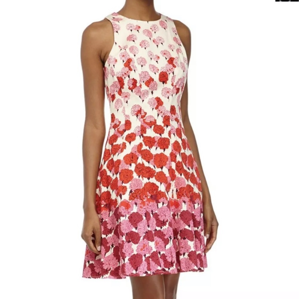 Maggy London Carnation Floral Dress